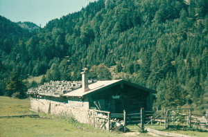 Orterer Alm