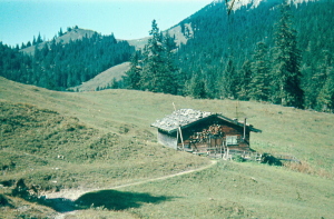 Orterer Alm 