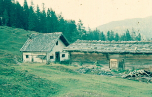 Nieders Alm 